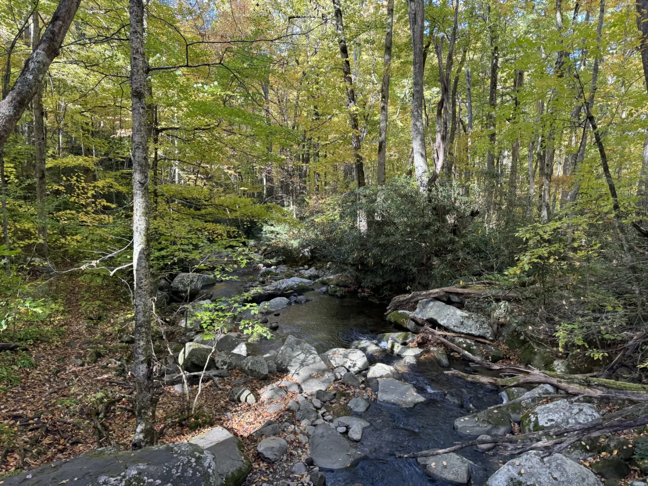 Roaring Fork Motor Nature Trail, Tennessee